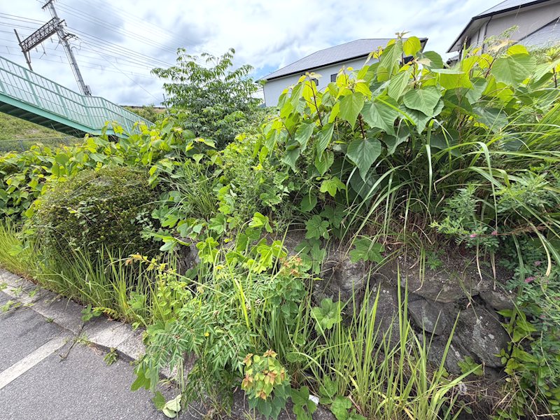 北側道路から撮影 天野が原町5丁目売土地 その他