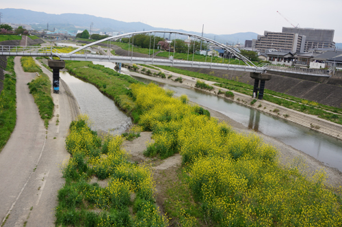 安威川河川敷公園 イニシア茨木プレシアスコート 周辺画像9