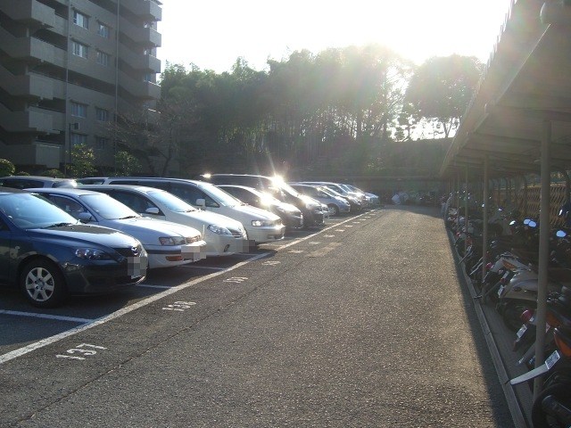 駐車場 日興千里丘スカイマンションA棟 203号室 その他