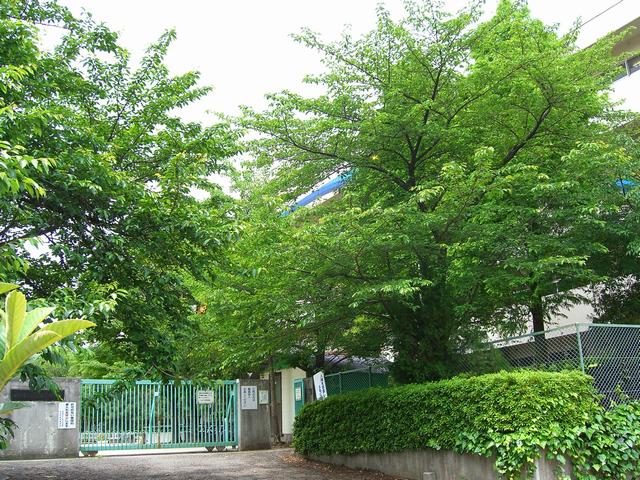 吹田市立山田第三小学校 日興千里丘スカイマンションA棟 203号室 周辺画像7