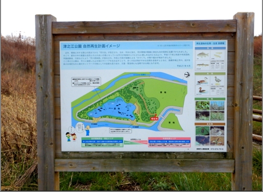 津之江公園 高槻市桜ケ丘北町 新築一戸建 周辺画像7