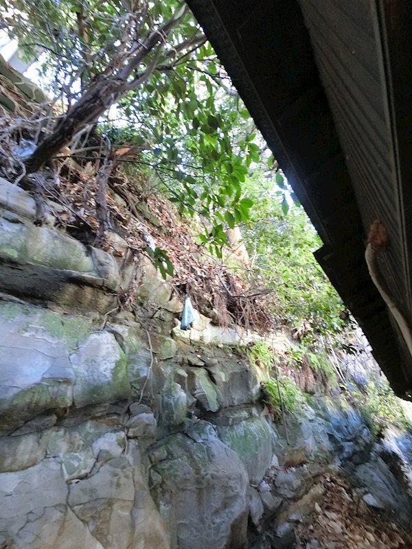 東逸見町一丁目店舗付住居 その他