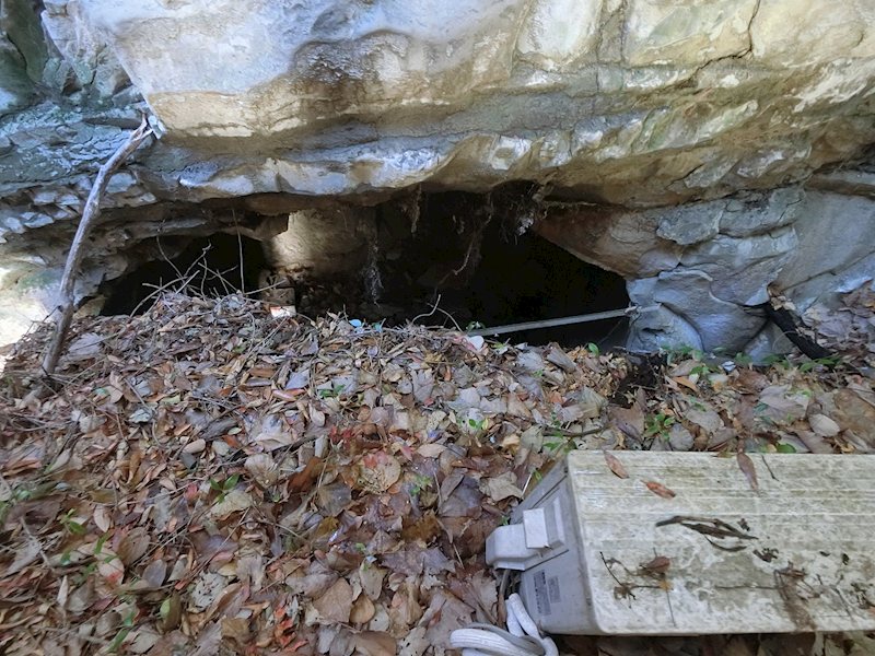 東逸見町一丁目店舗付住居 その他