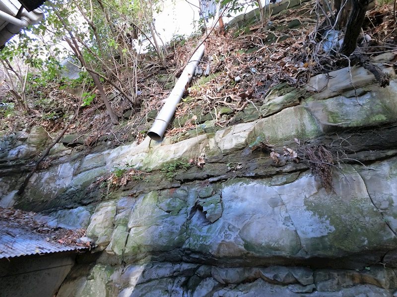 東逸見町一丁目店舗付住居 その他