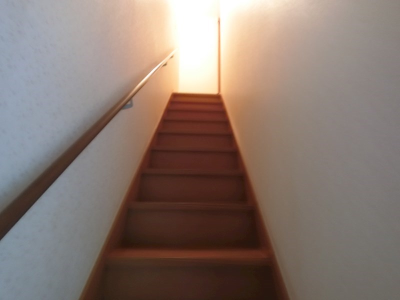 馬堀町三丁目テラス その他