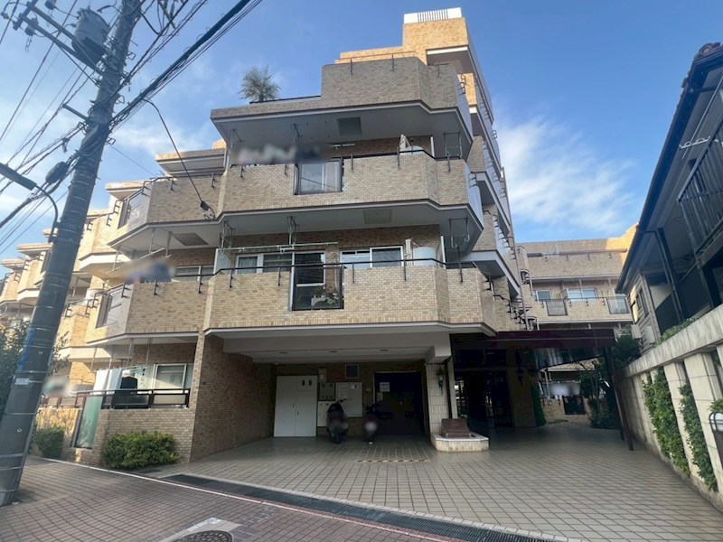 コーラルハイツ朝霞 現地写真