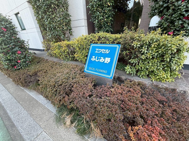 エクセルふじみ野 共用部写真（その他）