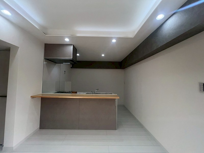 大宮植竹住宅 内観写真（キッチン）