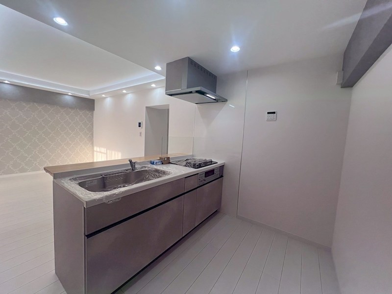 大宮植竹住宅 内観写真（キッチン）