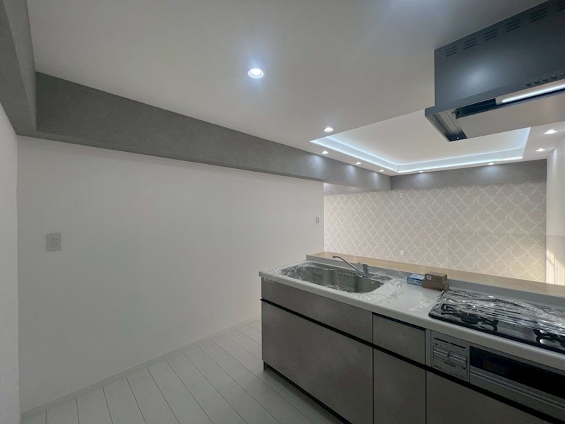 大宮植竹住宅 内観写真（キッチン）