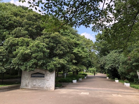 大宮公園ロジュマン 公園