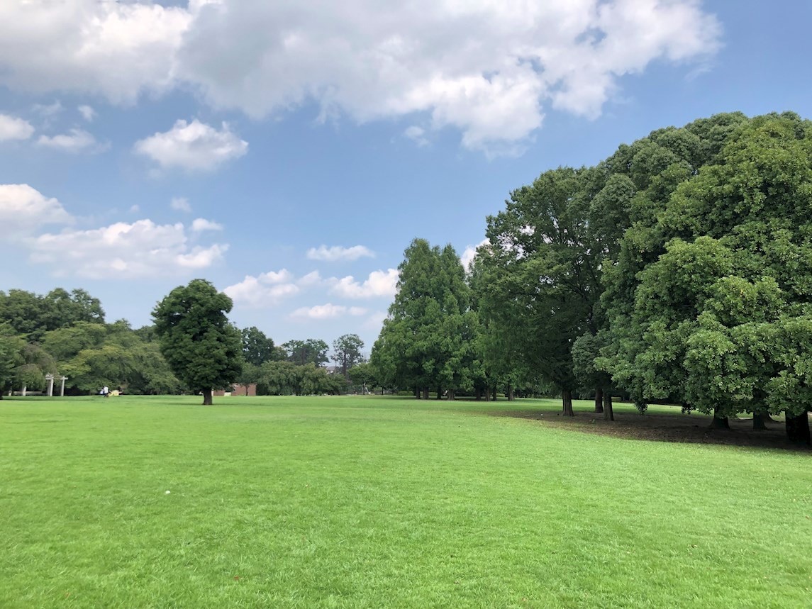 大宮公園ロジュマン 公園