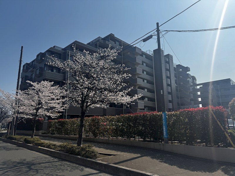ダイアパレス浦和秋ヶ瀬公園 現地写真