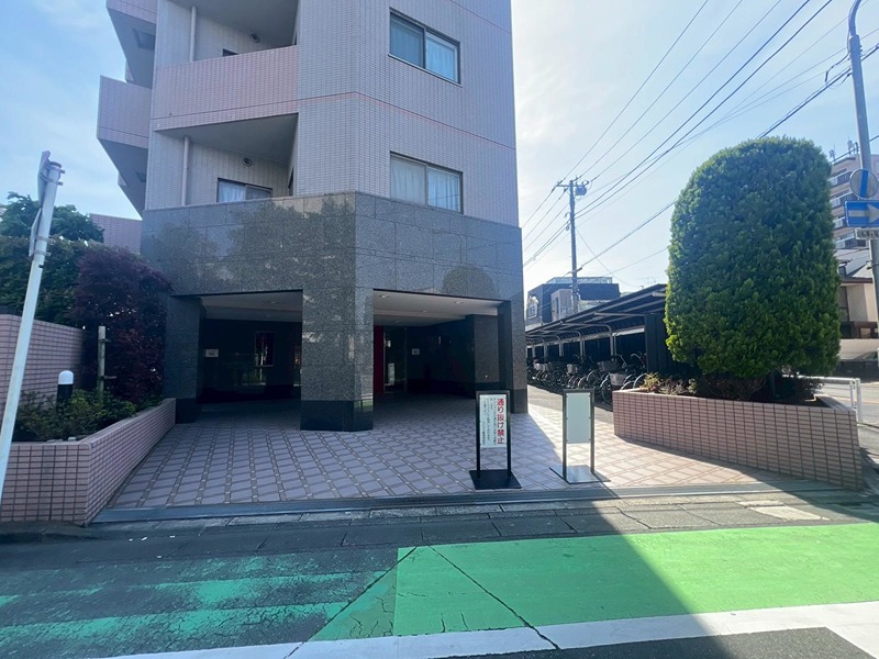 ルピナス蕨 現地写真