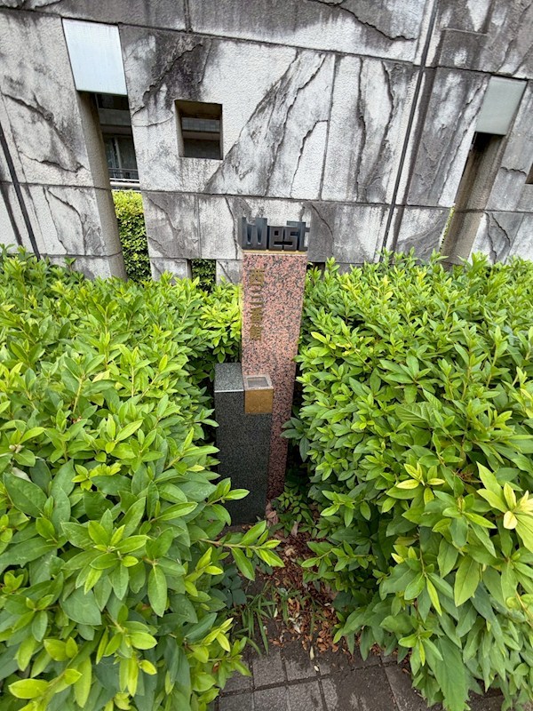 アイムふじみ野西三番館 共用部写真（エントランス）
