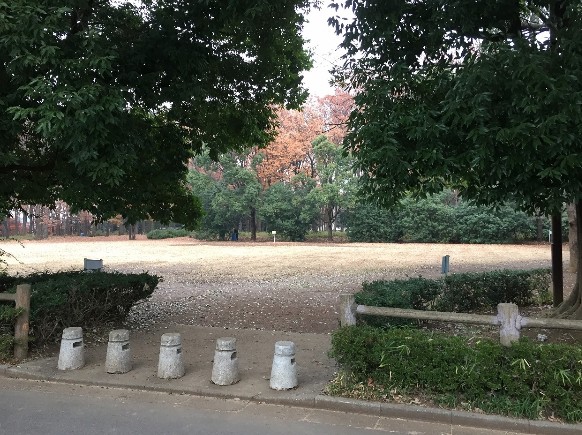 所沢市下安松 公園