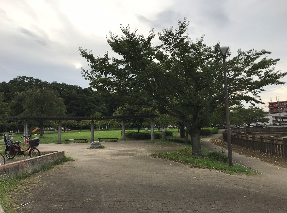 レリアコート浦和 公園