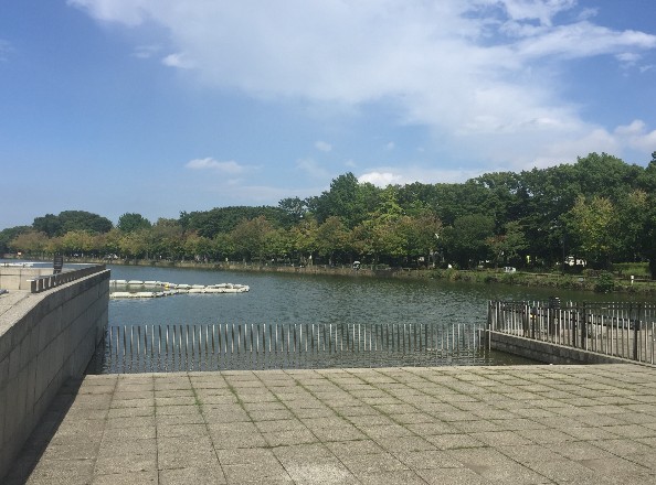 川口原町第２ローヤルコーポ 公園