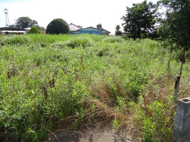 つくば市田中　売地 現地写真