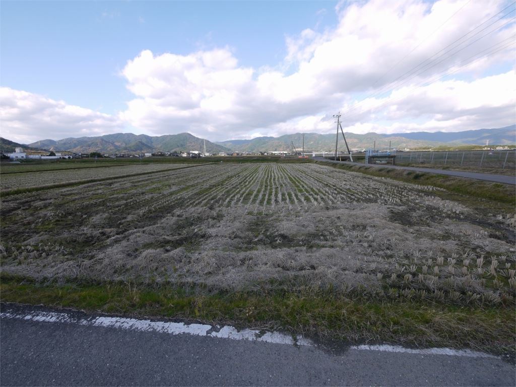 事業用地 (神埼町田道ヶ里) 現地写真